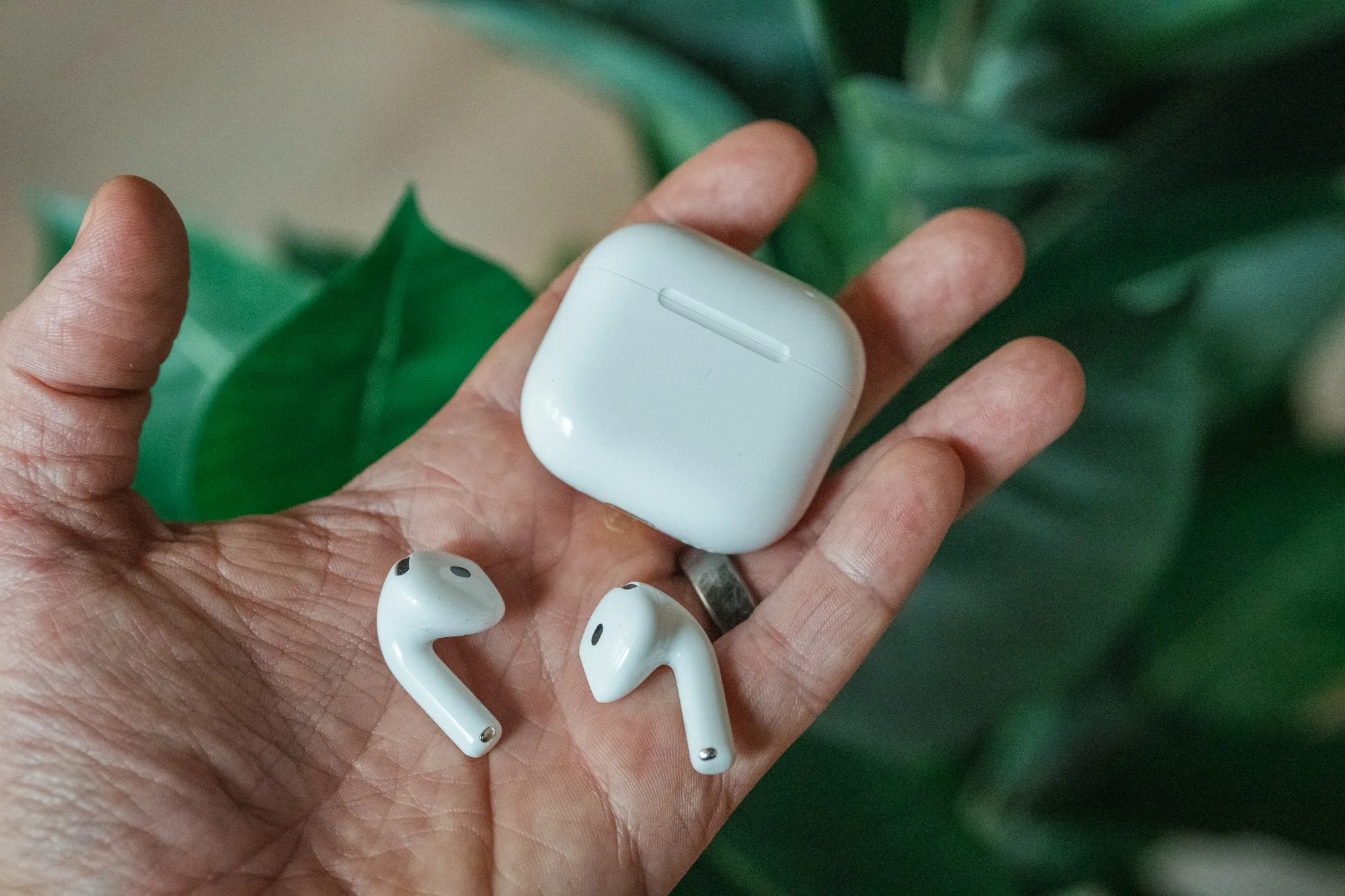 AirPods 5 med etui og begge øreproppene i håndflata, med grønne planteblader i bakgrunnen